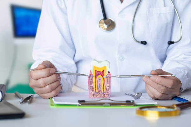 Best Chipped Tooth Repair Near Me  in Marianna, FL